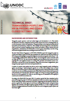 Technical brief: transgender people and HIV in prisons and other closed settings