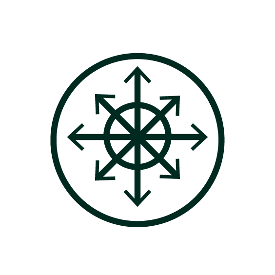 New NTD Road map 2021–2030. NTDs: together towards 2030. Pillar 2.