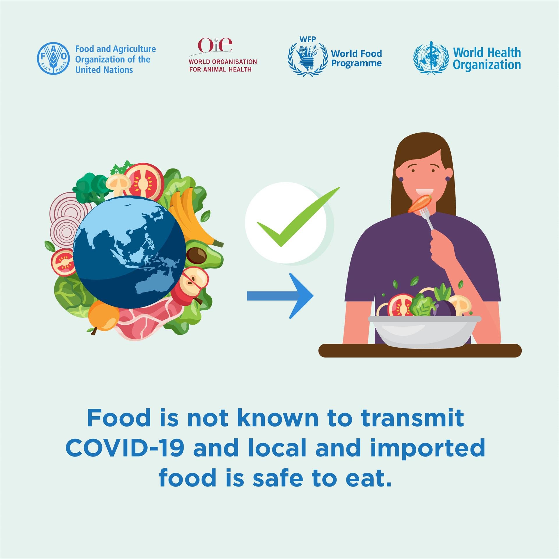 200511_FAO_Social media_Instagram_V19_no5