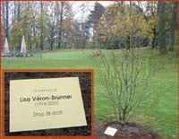 magnolia_for_lisa_200pix