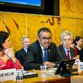 a wha71 Dr Tedros Technical Briefing
